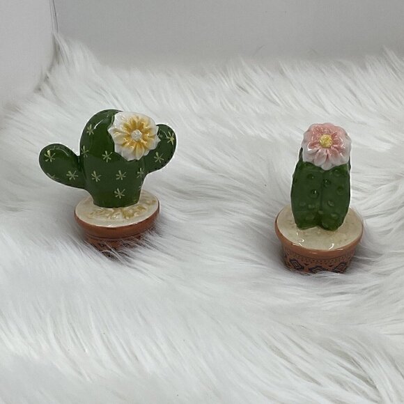 Cactus Cacti Blossom Salt and Pepper Shaker Set Green White Brown - Picture 1 of 9